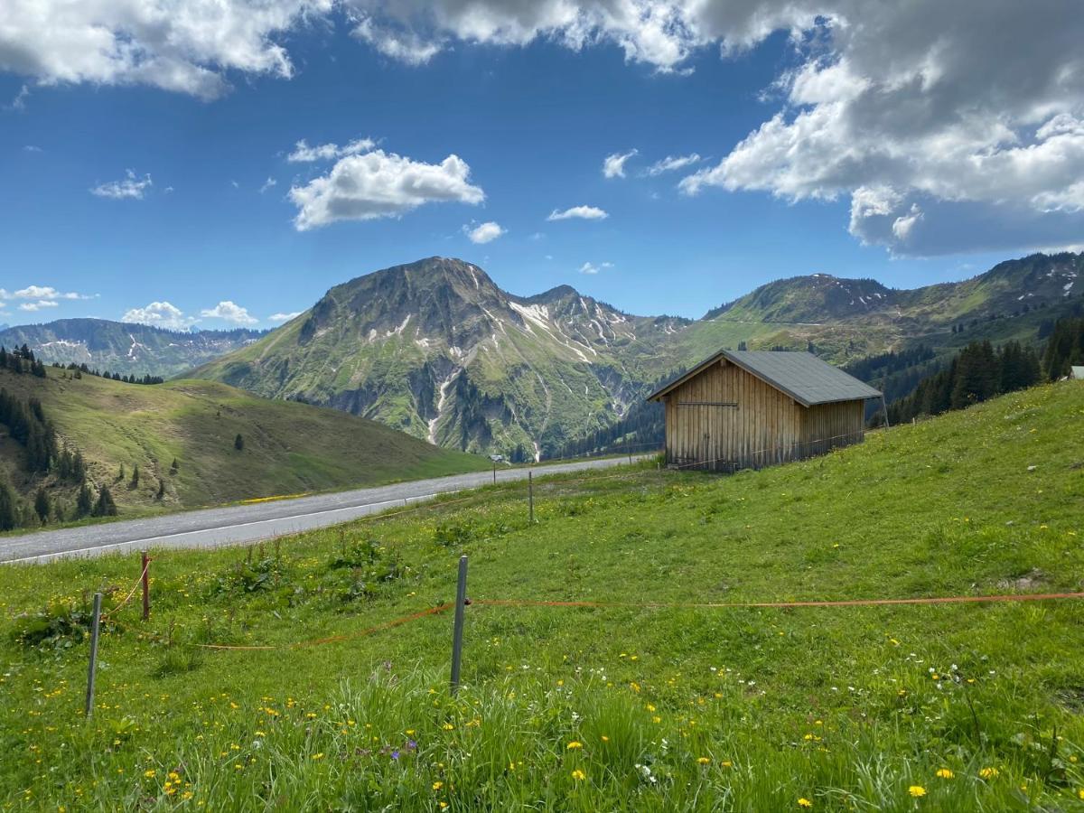 Apartment "Johann" Aktivurlaub Im Bregenzerwald Mellau Esterno foto