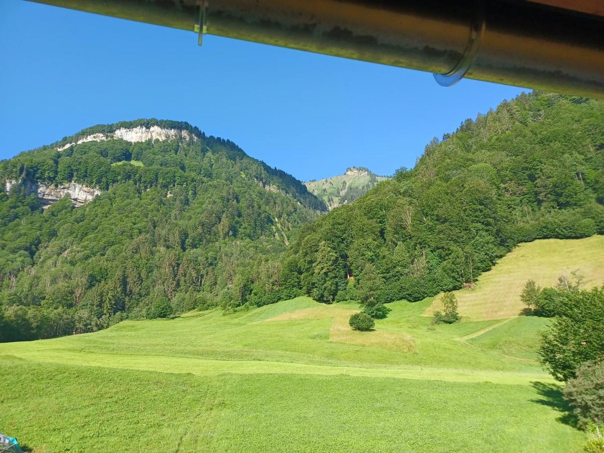 Apartment "Johann" Aktivurlaub Im Bregenzerwald Mellau Esterno foto